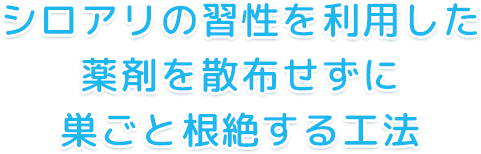 シロアリの習性を利用した薬剤を散布せずに巣ごと根絶する工法