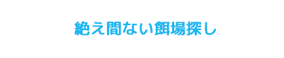 絶え間ない餌場探し