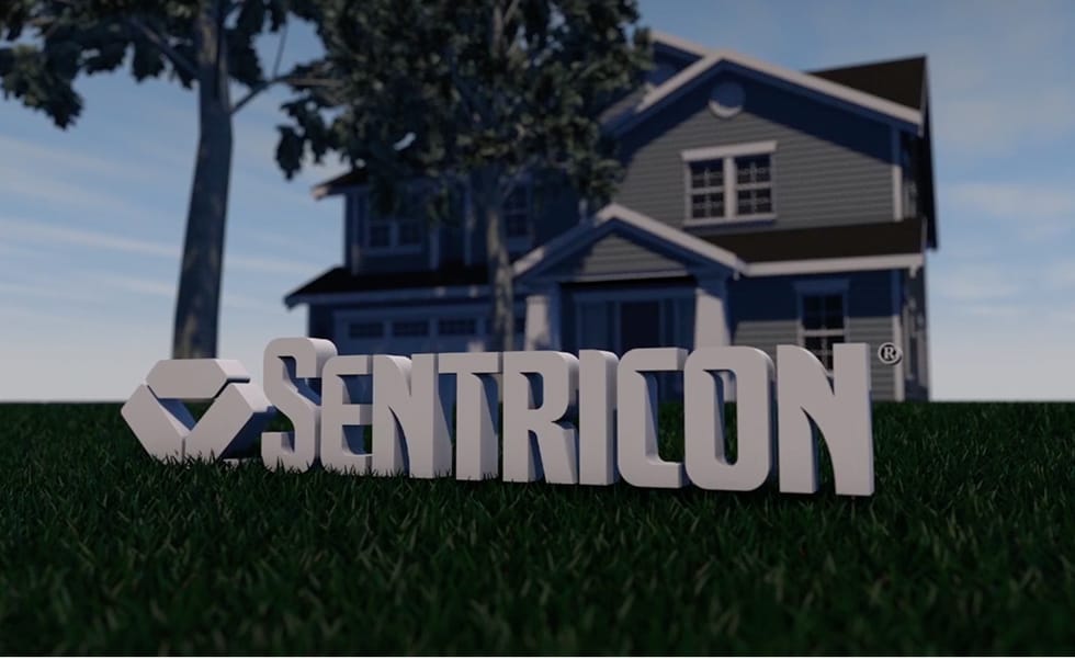 絶え間ない餌場探し