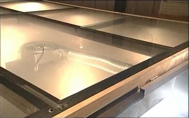 シロアリは絶え間なく新しい採餌場を探し続ける