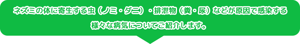 ネズミの体に寄生する虫（ノミ・ダニ）・排泄物（糞・尿）などが原因で感染する様々な病気についてご紹介します。