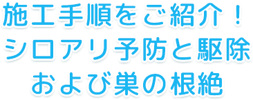 施工手順をご紹介！シロアリ予防と駆除および巣の根絶